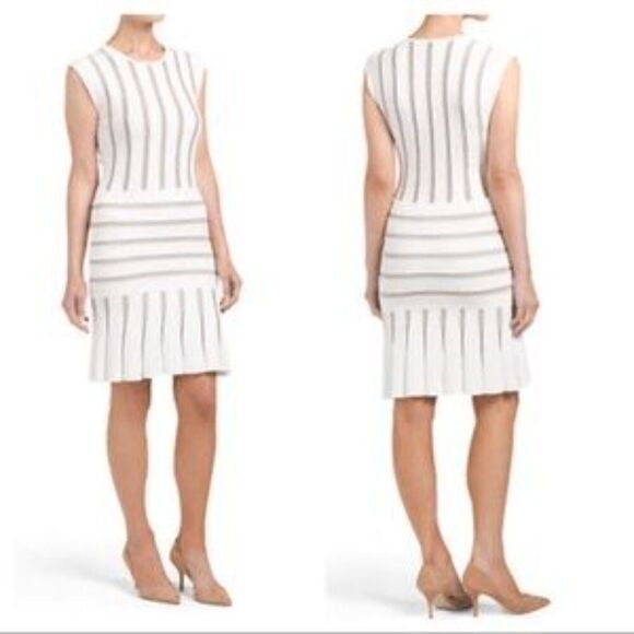 Torn by Ronny Kobo Beth Sleeveless Dress Small Silver Metallic Stripes White - Picture 1 of 5